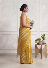 Pitambari Yellow Saree