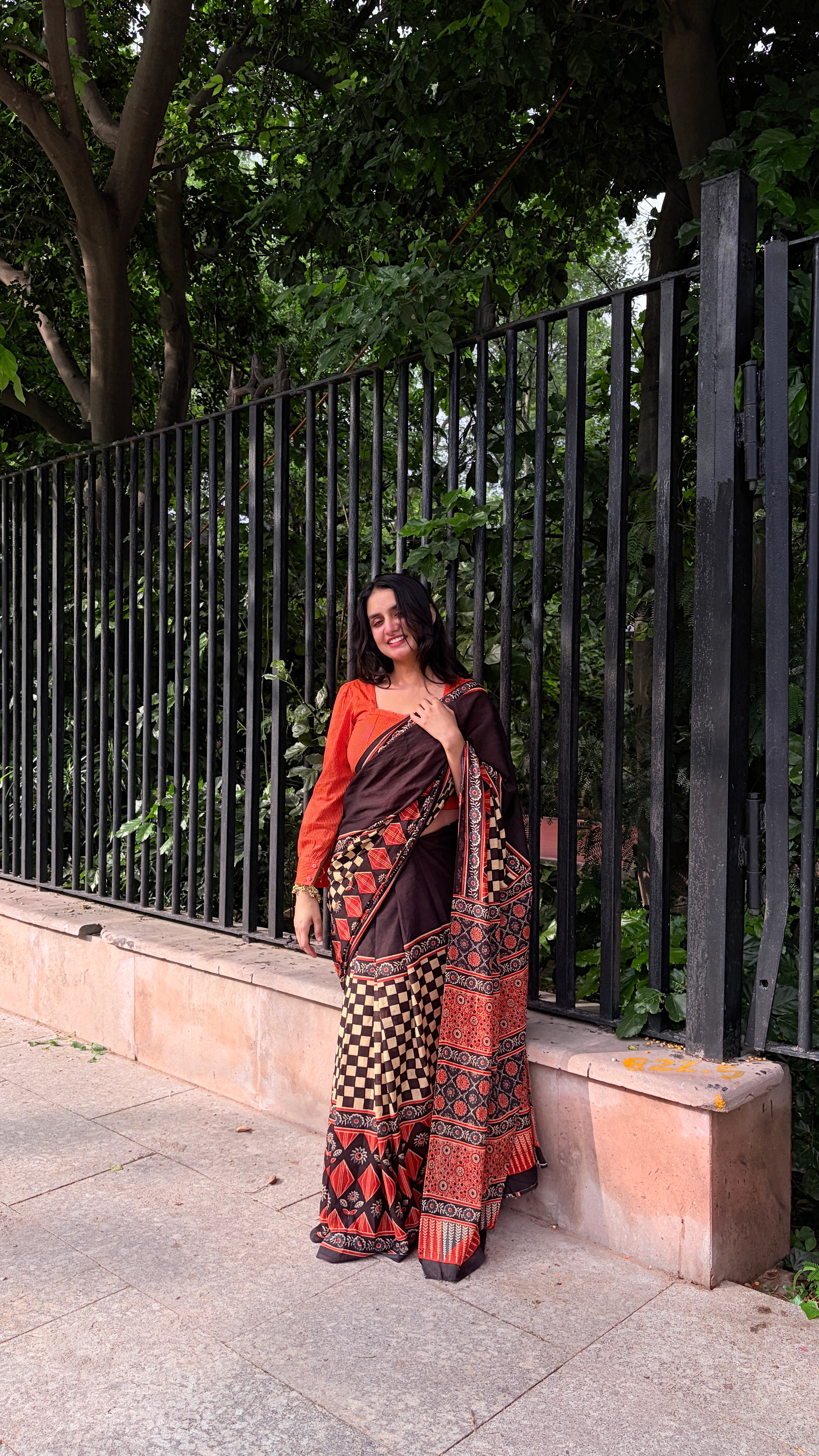Navrang Checkered Festive Saree
